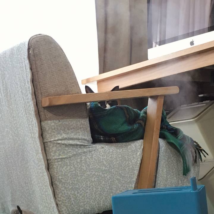 5db8769a b248 4871 a841 1773a109d585 1768650488883