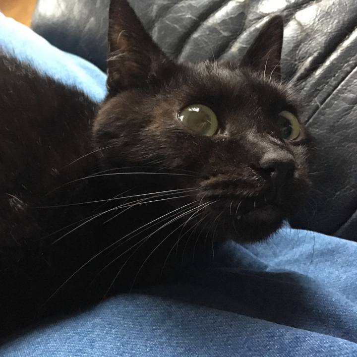 5db882b4 0861 4f7b b071 7ecc2920ad6c 1534933895159