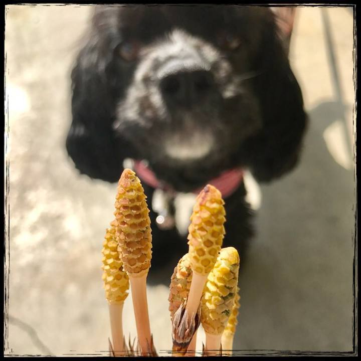 5db88314 ea44 45f0 8ab4 88db200005ca 1520916995827