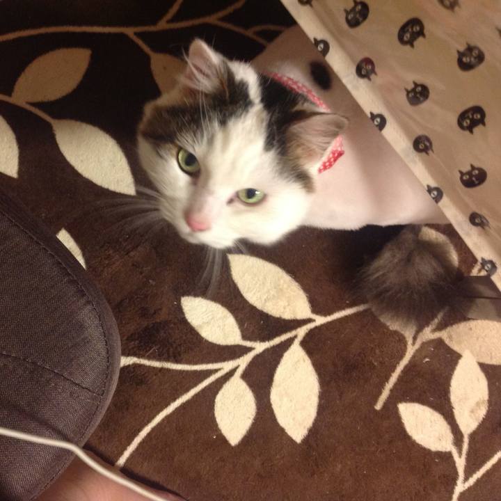 5db8950f fd32 4b5c ac98 c573a6831789 1660422642265