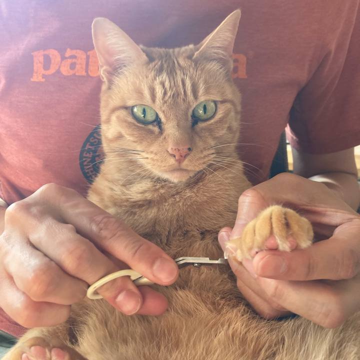 5db8ca8f 313f 40e5 8fa5 791a2ddbf3bb 1742996057283