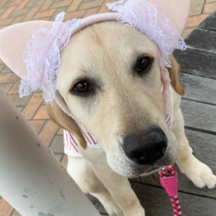 5db9093a a6d9 455c adeb 2bbbea928cbc 1620310792567