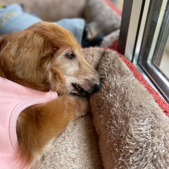 5db91239 f249 43f2 b833 a0bf622de535 1711863814081