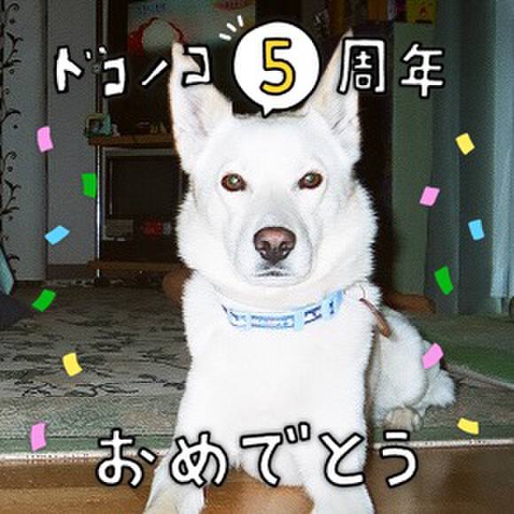 5db93176 b398 4c09 ad23 92425811a737 1622870486112