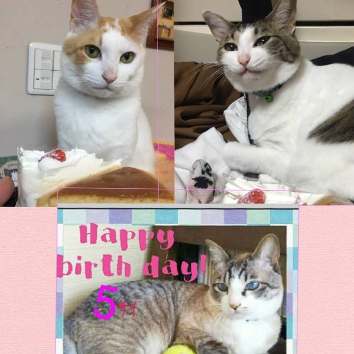 5db944a9 0f40 4603 a29f 526295a00e3e 1525523897350