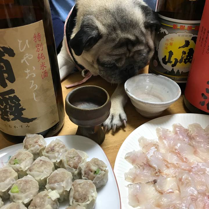 5db94a71 cb3b 4acd aa7d bb7b7101da83 1514198082074