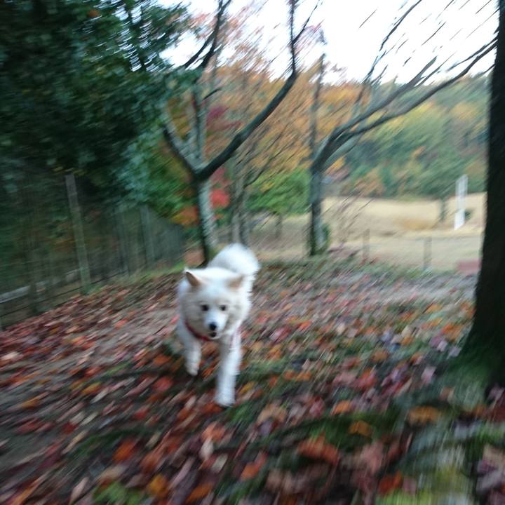 5db98325 4385 46fd a5e4 c53305b1e9cb 1550406300916