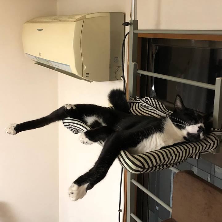 5db9ccf2 f071 4092 81c5 59996a6ae7c8 1535169522529