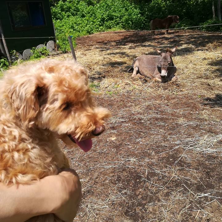 5db9ce0f 8910 41ae 8cb2 13f5212a2c44 1529828867097