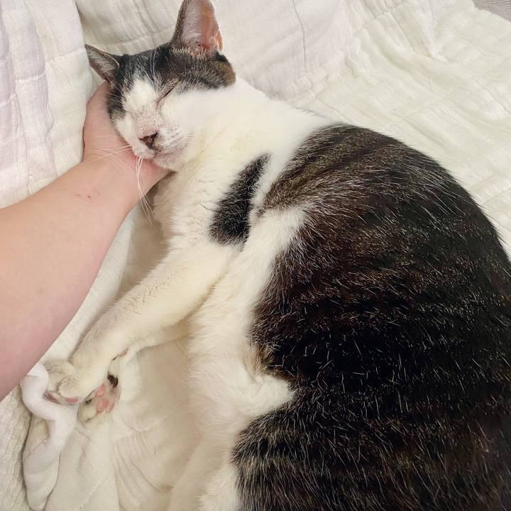 5dba1ed2 5560 4dc5 8836 7cddd3a54285 1600243752081