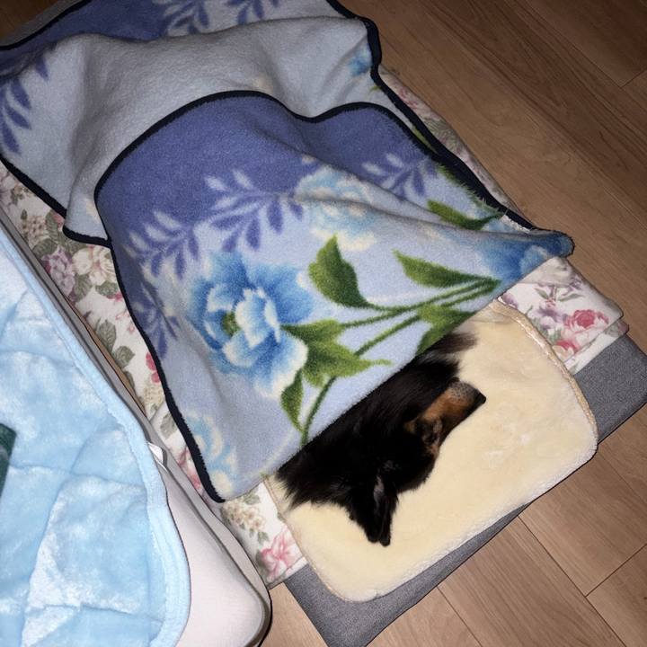 5dba2b3c eb77 4abc 95df d66a0506ef93 1774965964160