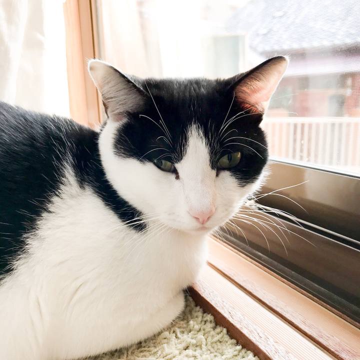 5dba2dc1 f4d1 4244 b73a d23767fa7f1f 1511744635763