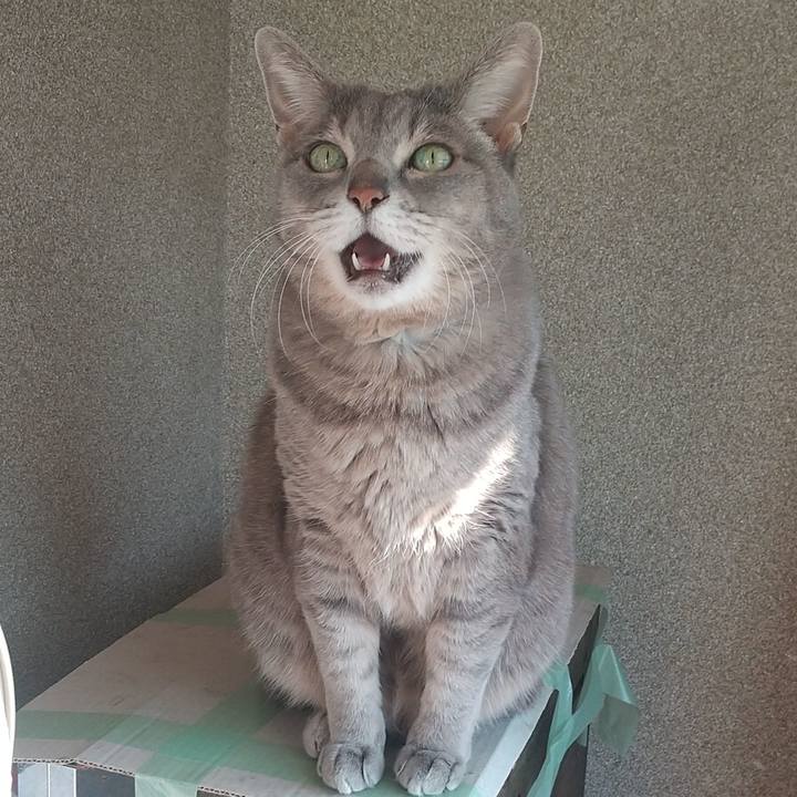 5dba4012 65aa 48d1 87d8 93bb1f905a99 1612654868269