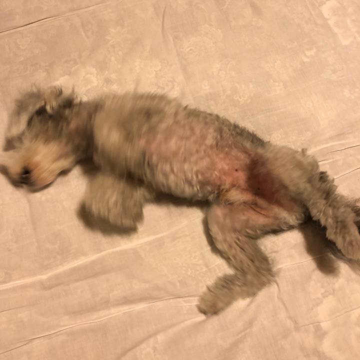 5dba46ee 6d1b 4a85 87a8 7709068635ae 1532738774242