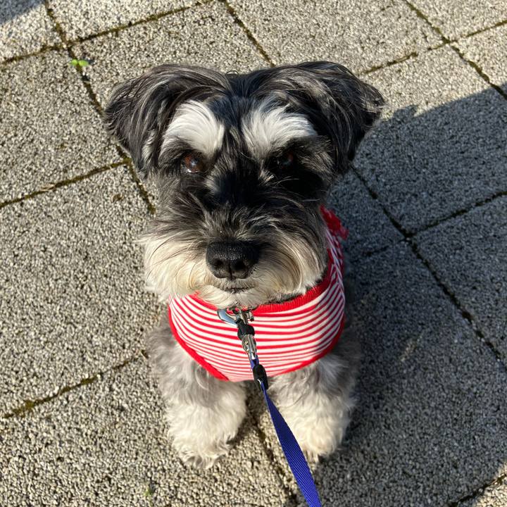 5dba4ff4 89fb 43a3 ad2f 79b5ef13a196 1713310544906