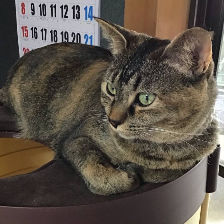 5dba90a6 66f8 4149 9032 2392c6b9ae0c 1653555932405