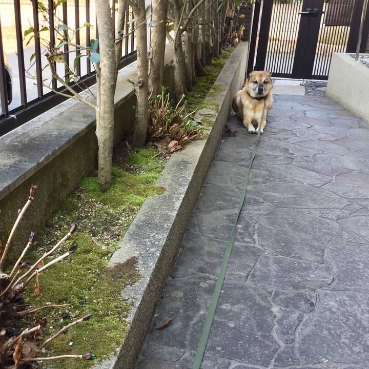 5dbab7a9 d5bc 4a90 acd3 e19418e90f1e 1551509819044