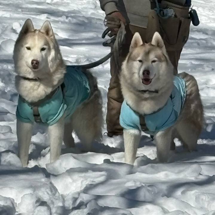 5dbae140 d543 4b35 8238 202a076966a2 1770619511361