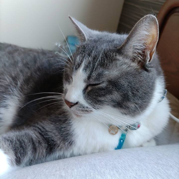 5dbae3c3 70ac 43f1 a06b 2c88f1cae277 1686962505362