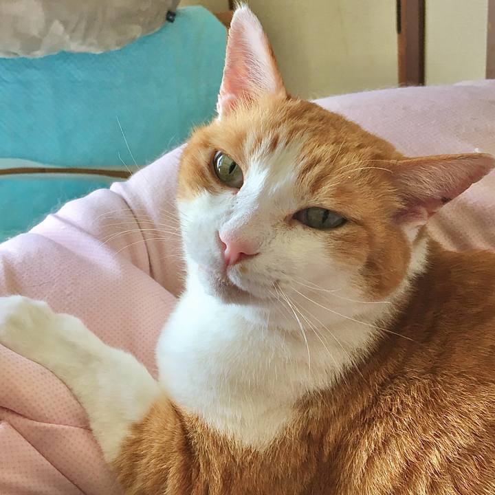 5dbb546b eeab 4e7b b8d3 f9d7bbfbe93f 1768561856446