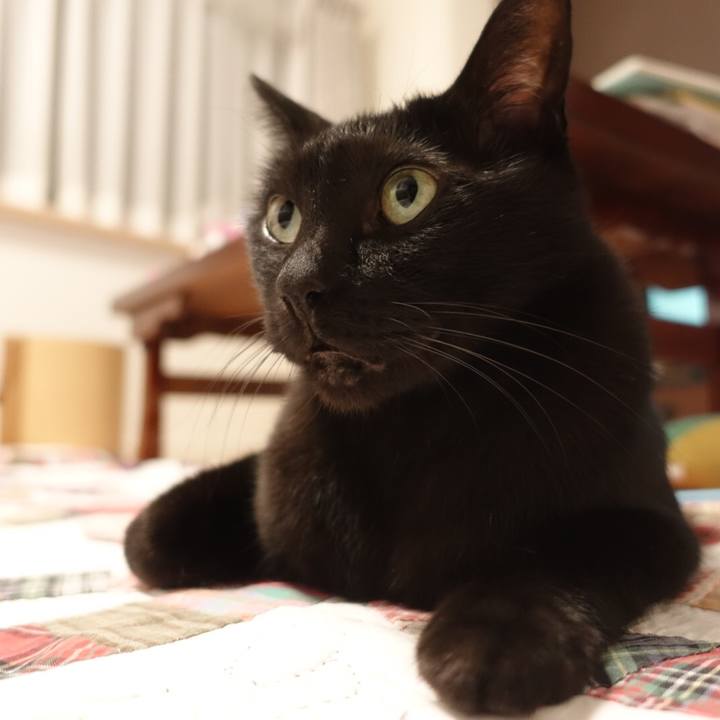 5dbb630e dce4 4c64 9d51 c55d6a903954 1570206933447