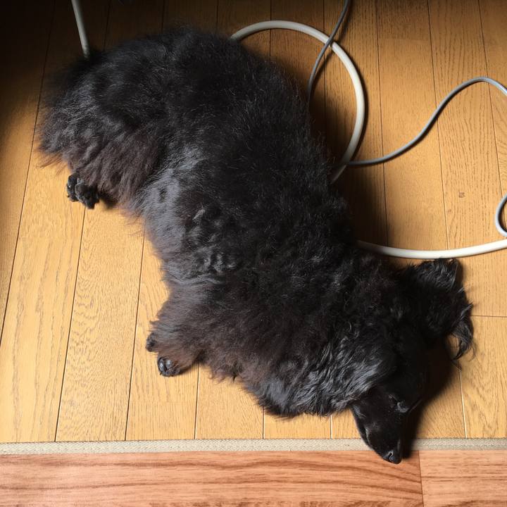 5dbb6b76 bc31 4785 bd5c bf430b7873e2 1642205665803