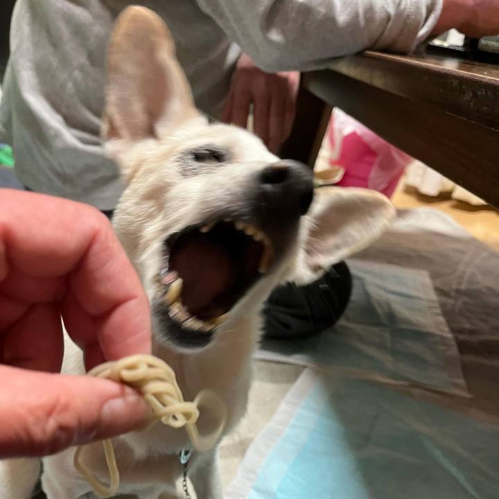 5dbb72b9 ed10 43a1 8af3 0bf540dd5516 1699884035043