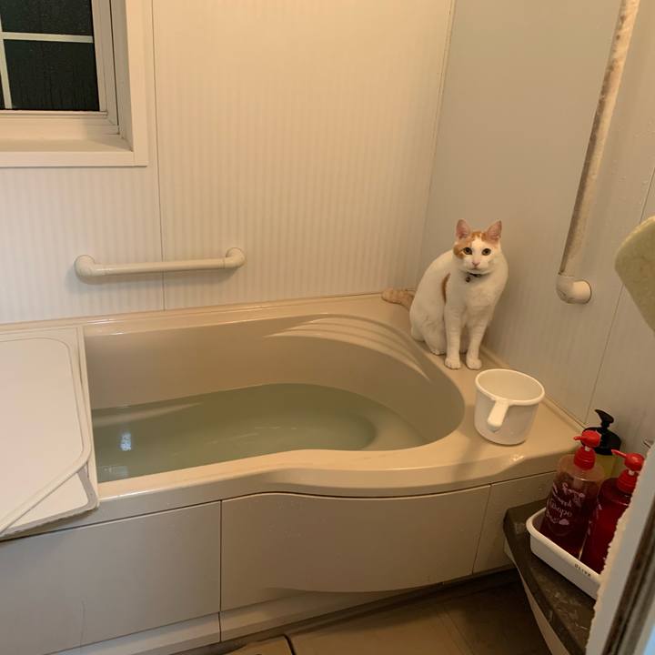 5dbb82d7 9071 4dba 8f03 62c1291e1ed2 1571917484163