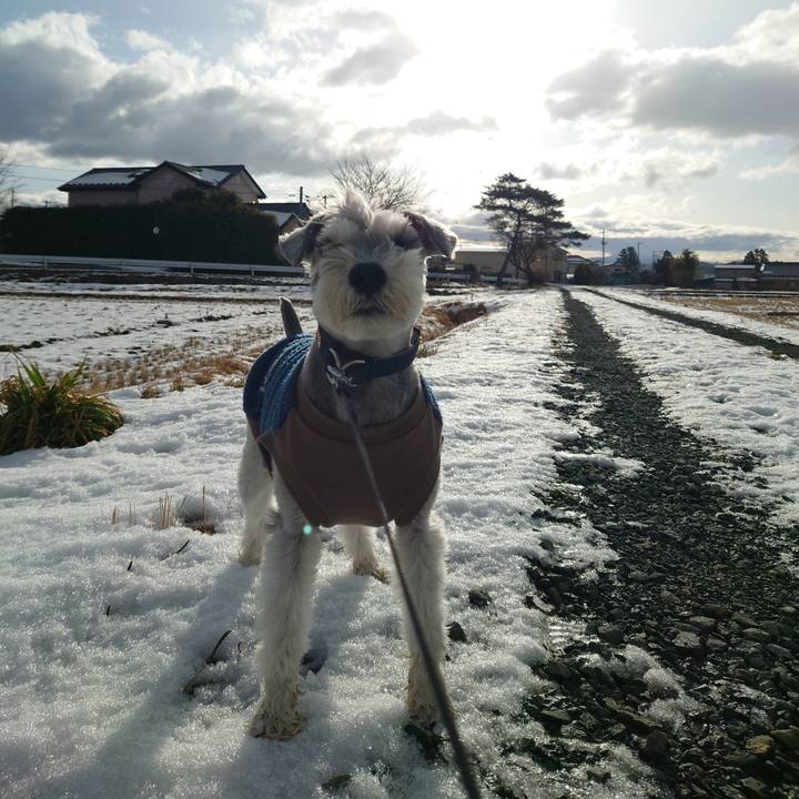 5dbbba28 e5ce 4dd4 8ca1 3e6e591e8beb 1772665407484