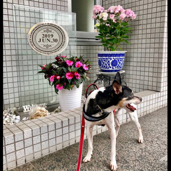 5dbbcd8a 1e95 491e 8159 9c6f25381410 1561857198916