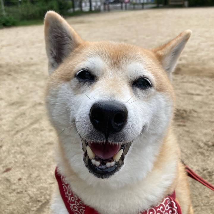 5dbbf1ab d0f6 424a b9c0 240c4e16eeee 1631522340595