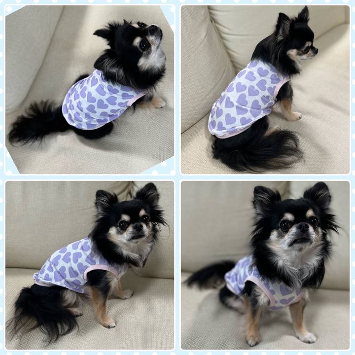 5dbc1a2b bd74 4d8b bf5e 6e8f902f131b 1695024256521