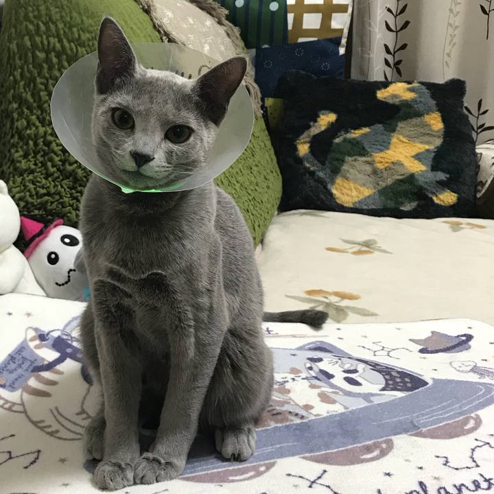 5dbc1f33 f658 4ad5 bde2 9287ca71d05f 1512996439628