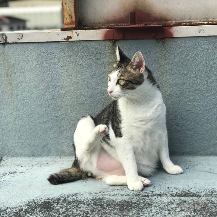 5dbc23e6 644e 4d02 a9c0 8c26f53308d7 1603336384125