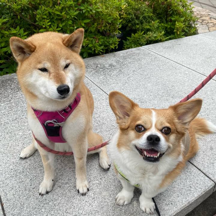 5dbc83be 5dad 498e b74c c4ddfe878dec 1747264418031