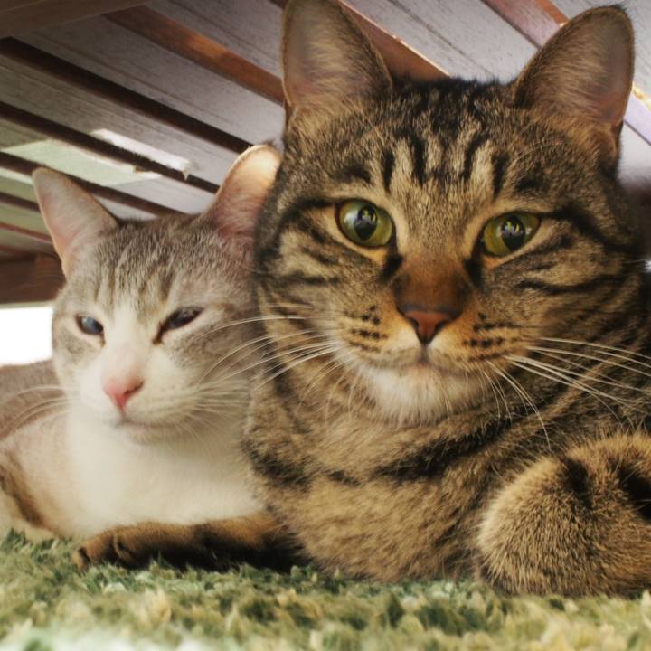 5dbc9d25 8cdc 41b3 bcc8 2fce9414ef66 1548243616732