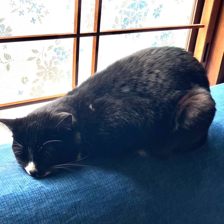 5dbc9fab d643 464c b09b 6aab6a8b3218 1681962854007