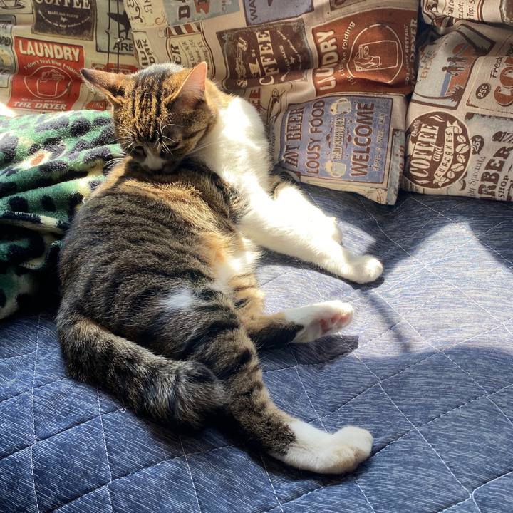 5dbcd0db 326f 4959 9b6f 63f4af28cbda 1586539896317