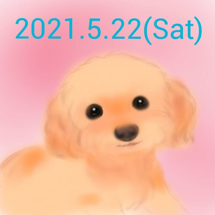 5dbd0573 ffbd 478b 953c e09ade950564 1621663116004