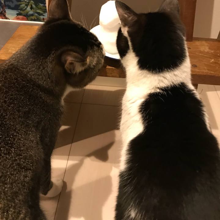 5dbd3cd6 b6f9 483f ac65 dd177eb74532 1516605928492