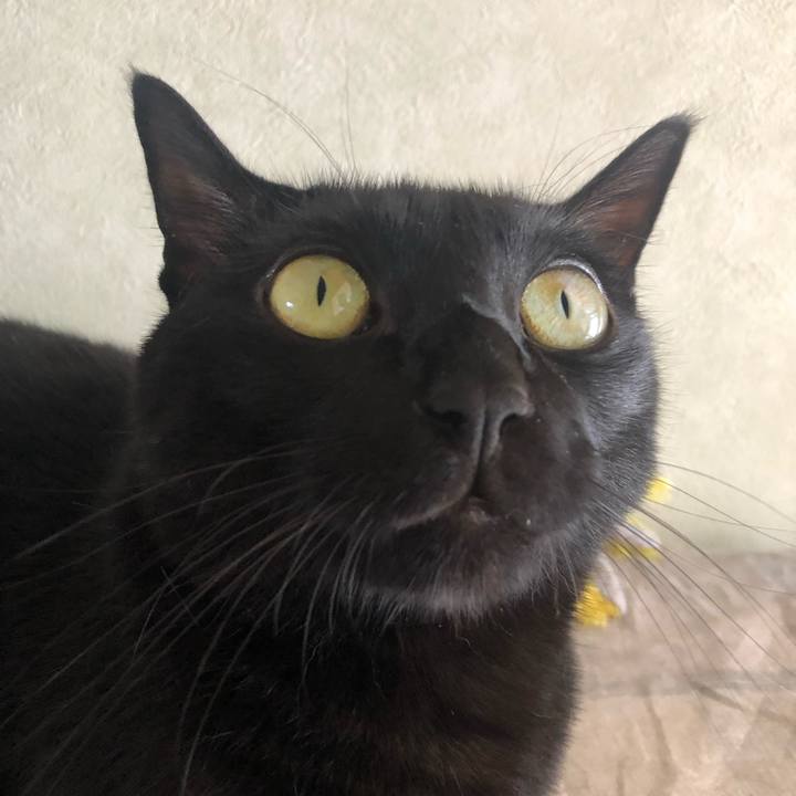 5dbd3fc0 bc00 45c7 828f cd93fe6a4129 1567999156715