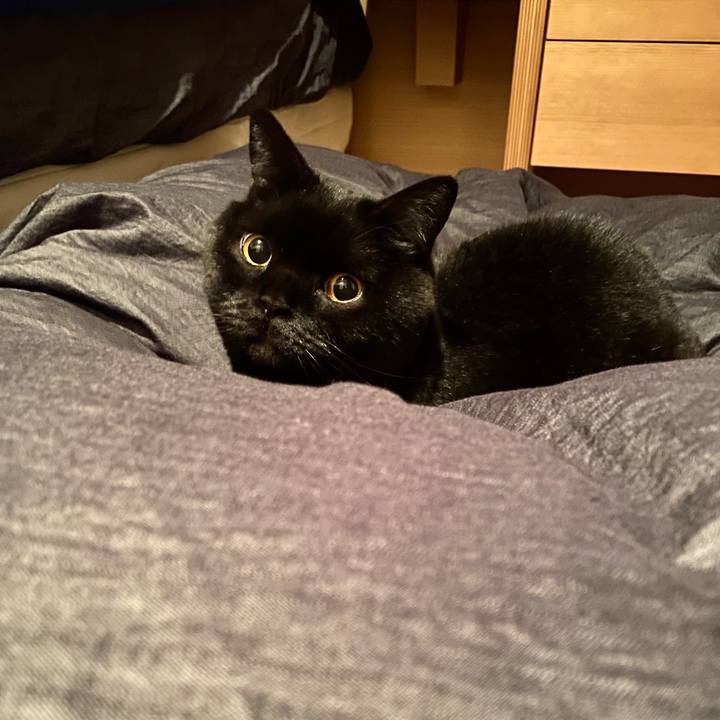 5dbd6c45 ce80 44e7 84bf 1c0930fff66a 1707383890375