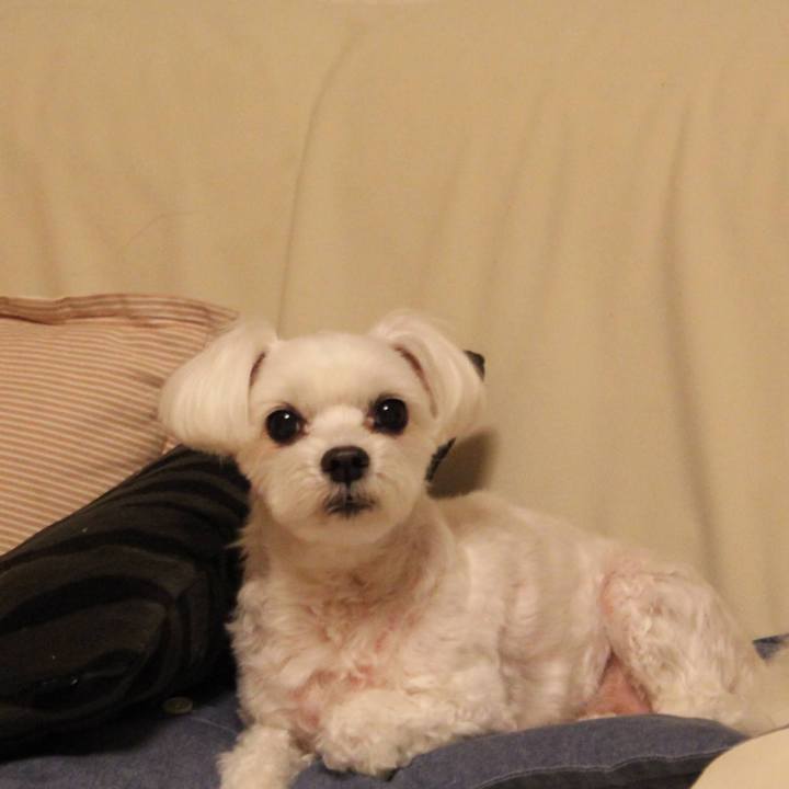 5dbdce5d 5d1b 4080 a0b1 46b515f7dc9a 1634657694511