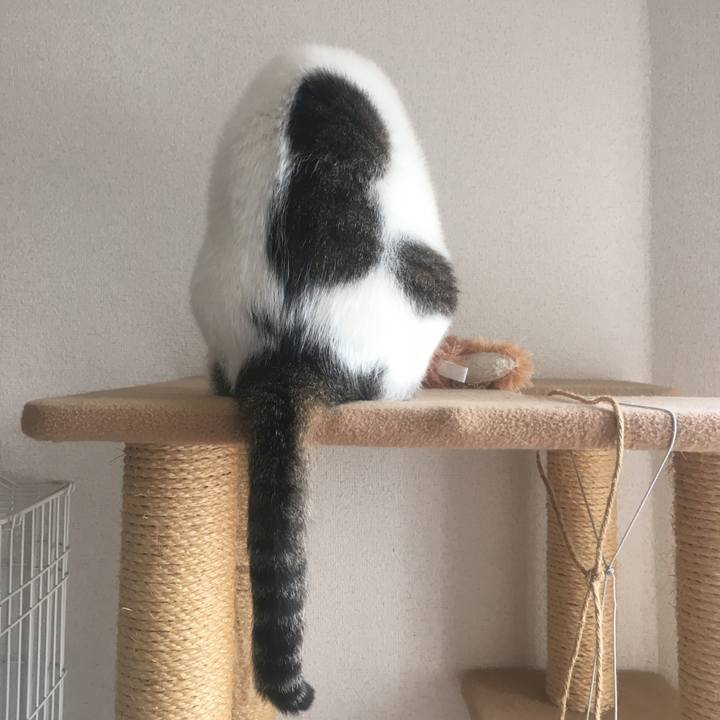 5dbdf6e9 3557 4cfe 8b76 dedb82242480 1625297138710