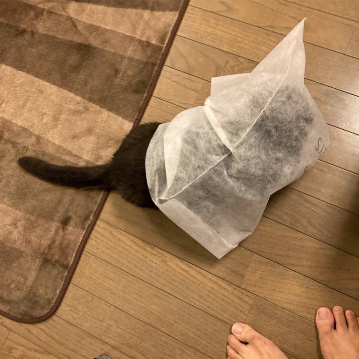 5dbdf7a5 c81b 45a8 a2f6 93910cecb426 1606719183227