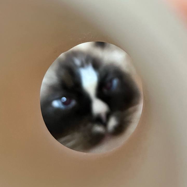 5dbe3ae5 5e9f 401c b688 82166794dc9a 1726575431653