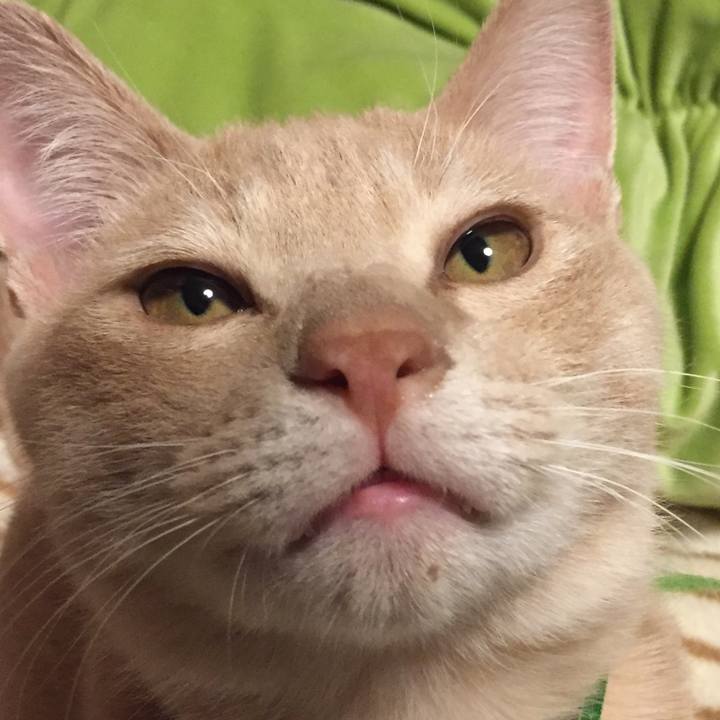 5dbe78c6 6227 4d4d 9d2d 5ca57406742f 1544019874781