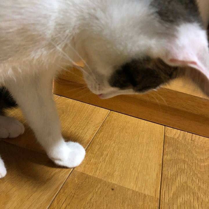 5dbe7ce3 4d34 4859 a867 915841afdd7e 1568465986129