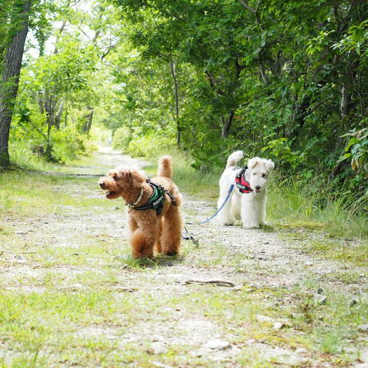 5dbe7ec5 a957 4b07 8969 6d39721e9ed8 1527905621902