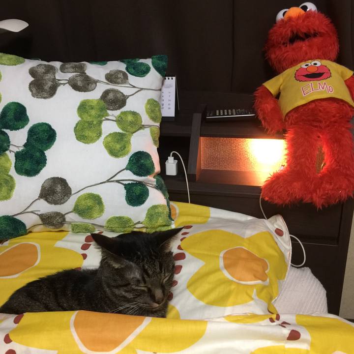 5dbe94ab 0657 4f68 b4c8 d06cce101579 1523785519190